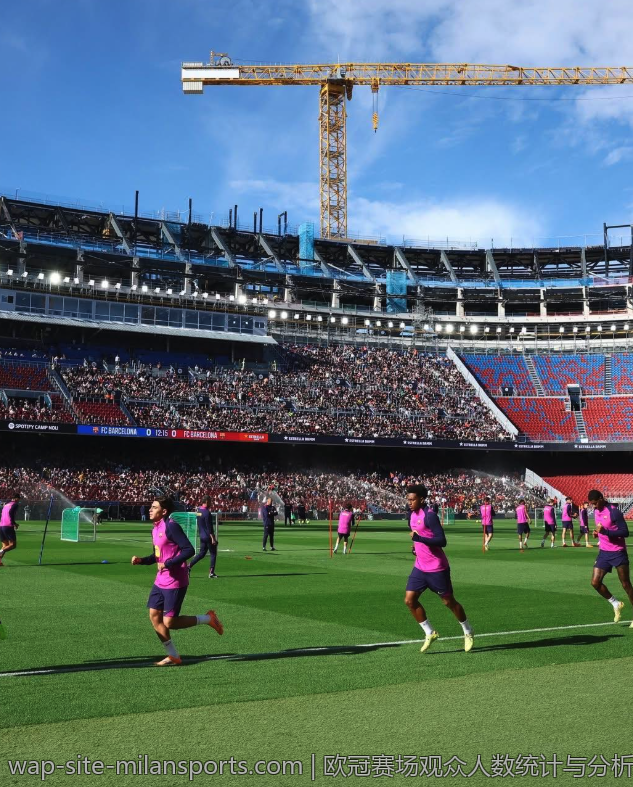 欧冠赛场观众人数统计与分析